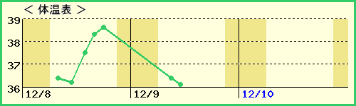 夯4ˤλҡˤβɽ