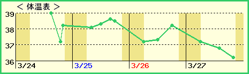 ޤĤ37Сˤβɽ