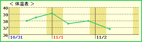 奦16ˤλҡˤβɽ