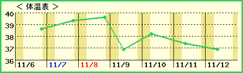 椦4ˤλҡˤβɽ