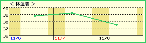 Ԥ10ˤλҡˤβɽ