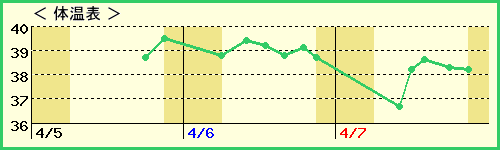 椦6ˤλҡˤβɽ